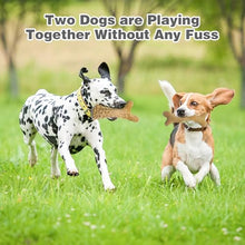 Load image into Gallery viewer, CARELAX Durable Dog Chew Toys for Aggressive Chewers - Real Bacon Flavor, Indestructible 2-Pack for Large Dogs, Medium & X-Large Options Available, Size-2