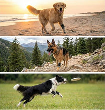 Load image into Gallery viewer, Labra Dog Front Leg Brace - Compression Wrap with Adjustable Straps - Dog Wrist Brace for Support - Leg Sleeve to Stop Licking - Aid in Wound Care and Recovery - Large/Extra Large