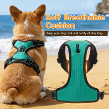 Load image into Gallery viewer, No Pull Dog Harness, No-Choke Soft Padded Reflective Dog Vest Harness with Front Clip & Top Handle, 2 Quick-Release Buckles, Adjustable for Small Medium Large Dogs