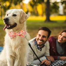 Load image into Gallery viewer, ARING PET Fall Dog Collar with Bow, Cute Daisy Floral Pet Collars with Quick Release Buckle for Puppy Small Medium Large Girl Boy Dogs-S