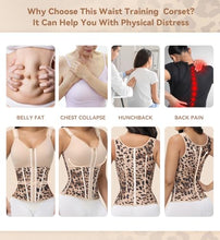 Load image into Gallery viewer, SHAPSHE Waist Trainer Corset for Women Tummy Control Body Shaper Vest -Khaki XXL