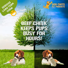 Load image into Gallery viewer, Dog Chits Beef Cheek Rolls for Dogs - Long Lasting Dog Chews, Rawhide Free & High Protein - Natural Beef Cheek Treats for Small, Medium & Large Dogs - 12 Inch (3 Pack)