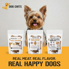 Load image into Gallery viewer, Dog Chits Lamb Trachea Dog Chews - 100% Single Ingredient, High Protein, Low Fat - Glucosamine for Joint Support - Dental-Clean Crunch - for Dogs Sensitive to Beef, Training Treat - 6 inch, 8 oz
