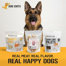 Load image into Gallery viewer, Dog Chits Pig Ears for Dogs – 100% Natural Baked Pig Ear Dog Treats & Training Chews – High Protein, Lower Fat, Grain-Free – Great for Puppies, Dental Support – Medium Size, 15 Pack – Made in USA