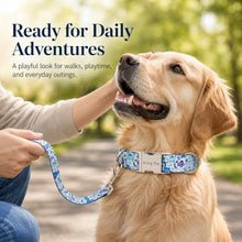 Load image into Gallery viewer, ARING PET Dinosaur Dog Collar, Cute Spring Summer Blue Boy Heavy Duty Doggy Collars with Metal Buckle for Puppy Small Medium Large Dogs-XS