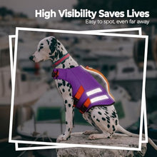 Load image into Gallery viewer, LeLePet Dog Life Jacket, High Flotation Swim Vest for Dogs XS Purple