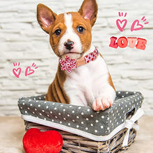 Load image into Gallery viewer, ARING PET Valentine's Day Dog Collar-Adorable Pink Heart Dog Collar with Flower, Adjustable Cotton Girl Dog Collars with Metal Buckle