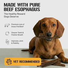Load image into Gallery viewer, Dog Chits Beef Esophagus Chews for Dogs & Puppies - All Natural Single Ingredient - High Protein, Low Fat Beef Jerky Chew - Safe for All Breeds - Great for Joint - Dental Clean Crunch - 6 inch, 10 oz