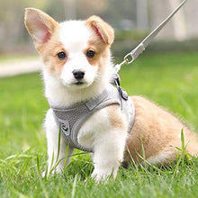 Load image into Gallery viewer, FEimaX Dog Harness and Leash Set for Walking, Soft Mesh Adjustable Easy Control Lightweight Cat Vest Harnesses with Reflective Strips, Escape Proof Small Dogs Cats Vests (Grey, Medium)