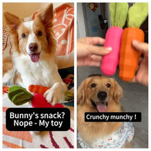Load image into Gallery viewer, MewaJump Easter Toys Dog Squeaky Chew Toys for Aggressive Chewers, Rubber Carrot Dog Toys for Training and Cleaning, Durable Interactive Tough Dog Toy for Puppy Medium Dogs