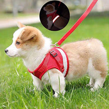 Load image into Gallery viewer, FEimaX Dog Harness and Leash Set for Walking, Soft Mesh Adjustable Easy Control Lightweight Cat Vest Harnesses with Reflective Strips, Escape Proof Small Dogs Cats Vests (Red, X-Large)