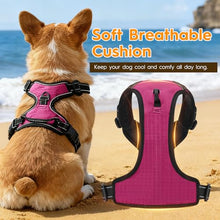 Load image into Gallery viewer, No Pull Dog Harness, No-Choke Soft Padded Reflective Dog Vest Harness with Front Clip & Top Handle, 2 Quick-Release Buckles, Adjustable for Small Medium Large Dogs