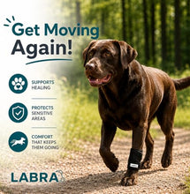 Load image into Gallery viewer, Labra Dog Front Leg Brace - Compression Wrap with Adjustable Straps - Dog Wrist Brace for Support - Leg Sleeve to Stop Licking - Aid in Wound Care and Recovery - Large/Extra Large