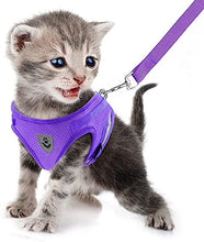 Load image into Gallery viewer, FEimaX Dog Harness and Leash Set for Walking, Soft Mesh Adjustable Easy Control Lightweight Cat Vest Harnesses with Reflective Strips, Escape Proof Small Dogs Cats Vests