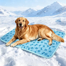 Load image into Gallery viewer, YAOGEG Upgraded Dog Cooling Mat for Dogs& Cats,Ice Silk Self Cooling Mat for Dogs(Q-Max>0.5),Washable Breathable Non-Slip Summer Dog Bed Mats for Crate Car Sofa Indoor Outdoor,Light Blue 35.4×27.5in