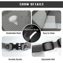 Load image into Gallery viewer, FEimaX Dog Harness and Leash Set for Walking, Soft Mesh Adjustable Easy Control Lightweight Cat Vest Harnesses with Reflective Strips, Escape Proof Small Dogs Cats Vests