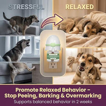 Load image into Gallery viewer, Dog Calming Pheromone Diffuser Kit, Pet Diffuser for Stress Support, Reduces Stress and Promotes Relaxed Behavior, 2 Plug-in & 4 Packs Refill, 120 Day Supply (Non-Toxic, Safe & Inedible), with Light