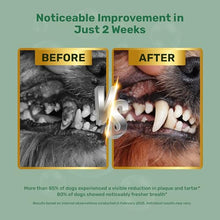 Load image into Gallery viewer, Probiotic Dog Dental Powder - Plaque Off Powder - Dog Teeth Natural Cleaning Powder - Dogs Breath Freshener - Enzymes & Probiotic with Tartar and Plaque Off - Pets Tooth Cleaning- 150g/5.3 oz