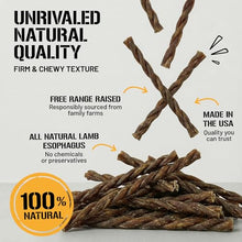 Load image into Gallery viewer, Dog Chits Lamb Esophagus Chews for Dogs & Puppies - Natural Single Ingredient - High Protein, Low Fat Lamb Dog Treats - Long Lasting, Easy to Digest - Great for Joint, Dental Clean Crunch - 12in, 8pk