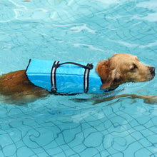 Load image into Gallery viewer, Doglay Dog Life Jacket with Rescue Handle, Dog Life Vest for Swimming Boating, Adjustable Reflective Puppy Swim Vest with Superior Buoyancy for Small Medium Large Dogs