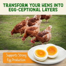 Load image into Gallery viewer, Doc Eddie’s Backyard Chicken Supplement - Plant-Based Treats for Egg Laying Hens - Poultry Feed Enrichment Made with Omega 3 Rich Algae - Essential for Immune Health, Feather Regrowth, Egg Production