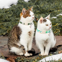 Load image into Gallery viewer, ARING PET 2 Pack Cat Collar-Cute Cotton Cat Collar with Bell & Pendant, Adjustable Spring Kitten Collars with Safety Buckle for Girl and Boy Pets