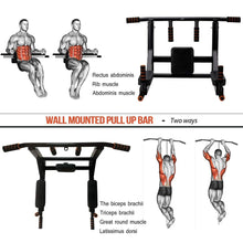 Load image into Gallery viewer, BDL Wall Mounted Pull Up Bar