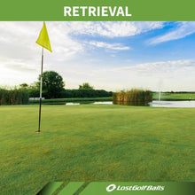 Load image into Gallery viewer, Titleist Pro V1 Mint Refinished Official Golf Balls (One Dozen) Packaging May Vary