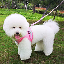 Load image into Gallery viewer, FEimaX Dog Harness and Leash Set for Walking, Soft Mesh Adjustable Easy Control Lightweight Cat Vest Harnesses with Reflective Strips, Escape Proof Small Dogs Cats Vests