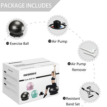 Load image into Gallery viewer, NEUMEE Yoga Ball Chair with 65cm Exercise Ball & 2 Resistance Bands(Black)