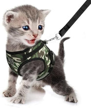 Load image into Gallery viewer, FEimaX Dog Harness and Leash Set for Walking, Soft Mesh Adjustable Easy Control Lightweight Cat Vest Harnesses with Reflective Strips, Escape Proof Small Dogs Cats Vests