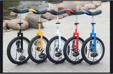 Load image into Gallery viewer, MDybf Wheeled Unicycle, Butyl Tire Wheeled Bicycle, Outdoor Sports and Fitness, Single Wheel Balanced Bicycle, Acrobatic Bike (Size : Black)