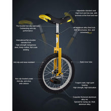 Load image into Gallery viewer, Unicycle, Unisex Heavy Duty Steel Frame and Alloy Wheel, 16-20 Inch Wheel with Alloy Rim, Non-Slip, Leakproof, Black,20″