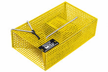 Load image into Gallery viewer, OceanBuilt Bull Minnow & Baitfish Trap – Small 20" x 12" x 6" Live Bait Trap – 0.5" Mesh PVC Coated Wire Trap with Dual Throats – Heavy Duty Saltwater Bait Fish Trap