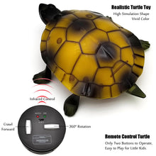 Load image into Gallery viewer, Cute RC Turtle Remote Control Tortoise Toy Realistic Simulation Electric Electronic Animal for Cat Toddler Kids Birthday (Brown)