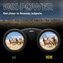Load image into Gallery viewer, Nikon PROSTAFF P3 10x42 Binocular | Waterproof, fogproof, rubber-armored Full-Size Binocular, wide field of view & long eye relief | Official Nikon USA Model