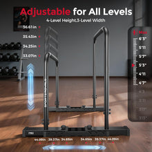 Load image into Gallery viewer, SPORTSROYALS DP2 Dip Station Adjustable Dip Bar(black)