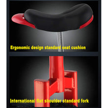 Load image into Gallery viewer, Unicycle, Unisex Heavy Duty Steel Frame and Alloy Wheel, 16-20 Inch Wheel with Alloy Rim, Non-Slip, Leakproof, Black,20″