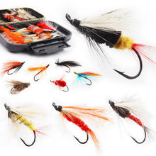 Load image into Gallery viewer, Fly Fishing Flies Assortment Kit Dry Wet Nyphms Tenkara Popper Streamer Woolly Bugger for Trout Bass Salmon Steelhead with Fly Box (60pcs-Salmon Steelhead Flies Kit with Waterproof Fly Box)