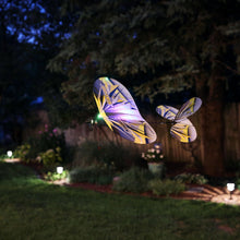 Load image into Gallery viewer, E-flite RC Airplane UMX Night Vapor RTF to Fly is Included with AS3X and Safe Select EFLU1300
