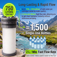 Load image into Gallery viewer, Replacement Water Filter Compatible with Katadyn Hiker & Hiker Pro, 1-Pack