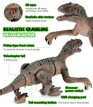 Load image into Gallery viewer, 19" Remote Control Dinosaur Toys for Kids, 8CH Rechargeable Jurassic Velociraptor Imitates Walking with Light & Roaring - Dinosaur Toys