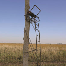 Load image into Gallery viewer, Big Game 1-Person Ladder Tree Stand for Hunting Deer, 18.5' Tall, 2-Pack