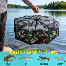 Load image into Gallery viewer, Synceduo Crab Trap Crawfish Minnow Trap, 2PCS Foldable Fishing Bait Net for Blue Crabs Lobster Shrimp Crawfish with Rope and Crabbing Equipment, 10 Holes