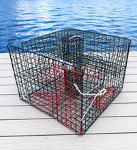 Load image into Gallery viewer, OceanBuilt Florida XL Blue Crab Trap – 18 x 24 x 24 Recreational Blue Crab Pot – Four-Throat Saltwater Crab Trap – Heavy Duty PVC Coated Wire Fishing Trap