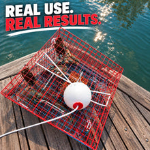 Load image into Gallery viewer, OceanBuilt Florida XL Blue Crab Trap with 6" White Buoy Kit – 18 x 24 x 24 Recreational Blue Crab Pot – Four-Throat Saltwater Crab Trap – Includes Buoy & 30' Rope – PVC Coated Wire Fishing Trap
