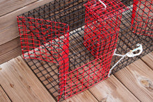 Load image into Gallery viewer, OceanBuilt Pinfish Trap – 24" x 11" x 11" Medium Bait Fish Trap – 1" Mesh Wire Trap with Dual Throats and Full-Length Baitwell – Saltwater Live Bait Trap for Pinfish