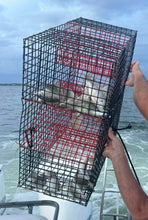Load image into Gallery viewer, OceanBuilt 4 Throat Pinfish Trap – 24" x 24" x 11" Large Bait Fish Trap – 1" Mesh Wire Trap with Full-Length Baitwell – Heavy Duty Saltwater Live Bait Trap for Pinfish and Baitfish