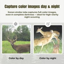 Load image into Gallery viewer, Cuddeback CuddeLink Strobe LL-1A Wireless Network Camera (L Series), 4 Pack