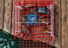 Load image into Gallery viewer, OceanBuilt Bridge Blue Crab Trap & Wire Mesh Drop Net, 15 x 15 x 7 in.